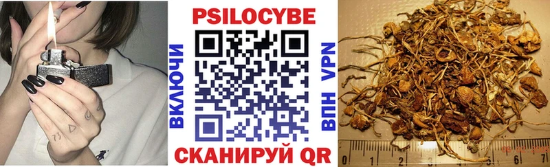 Купить  Тамбов  Галлюциногенные грибы GOLDEN TEACHER 